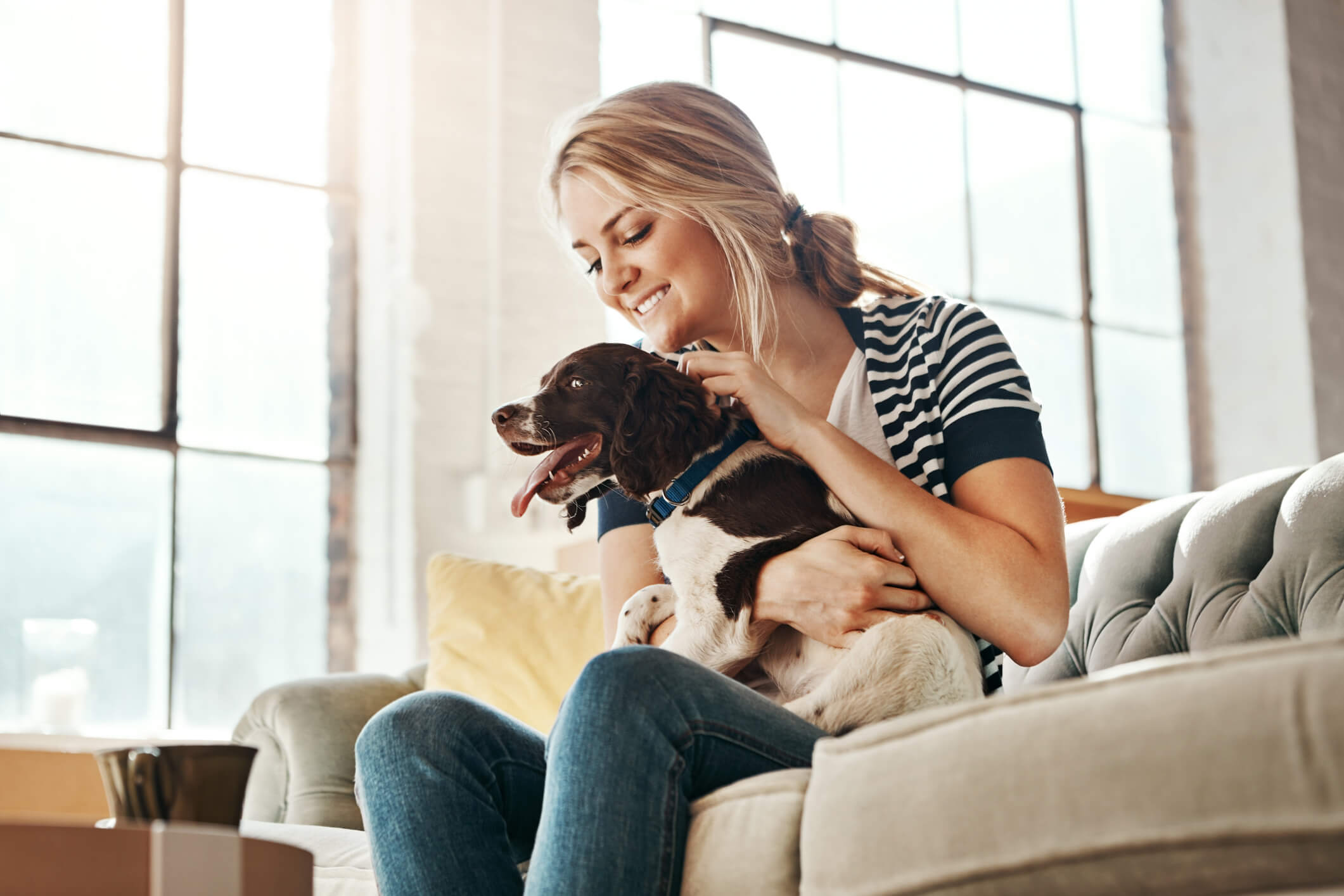 Jouw bank is niet voor de hond bank geschikt voor honden
